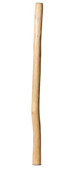 Medium Size Natural Finish Didgeridoo (TW1227)